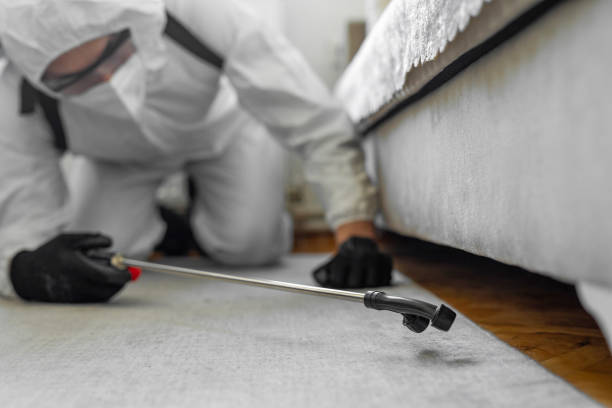 Professional Termite Control technician working in Gulf Park Estates, MS