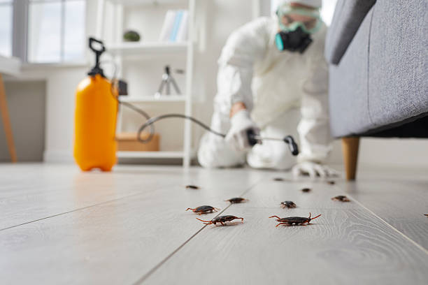 Trusted Fumigation Services service in Gulf Park Estates, MS - Nex Pest Control