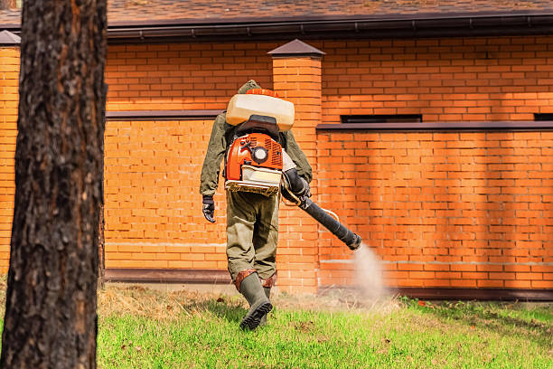 Trusted Termite Control service in Gulf Park Estates, MS - Nex Pest Control